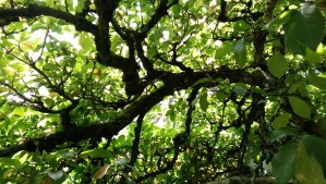 Today is a good day for new perspective. Today is a good day for self-compassion. Today is a good day to change the world.