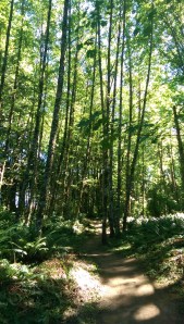 Walking my own path.