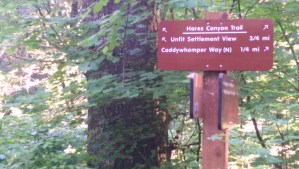 Choices along the way change the journey.