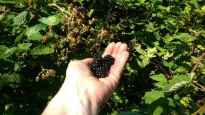 Some of it is about choices...