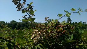 Some of it is about perspective.