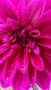 Life's simple glory, complicated, simple, strange, wonderful, new or familiar; it matters every bit as much as it doesn't matter at all.