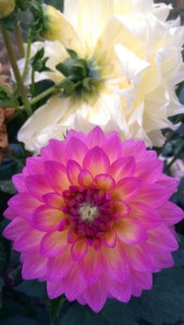 What we face, what we turn away from; we choose the world we see.