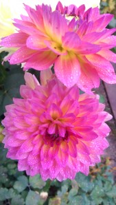 We create beauty by seeing it, we create love by loving; so much of who we are is what we choose to be.