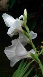 Beyond grieving, beyond acknowledgement, what will you choose to do to make it better?