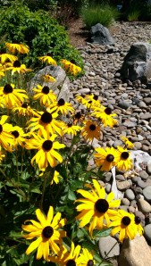 Today is as good a day for humanity as you choose to make it. Choose wisely. 