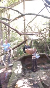 ...some, primates in cages...