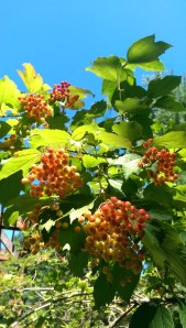 The sufficiency of one moment of real presence.