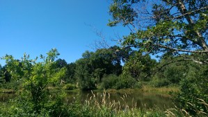 Today is a good day to savor each moment.