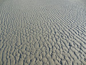 ...and patterns that revealed something new, adding to my understanding of my experience.