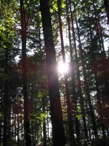 ...a quality of light...