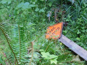 ...all manner of metaphors...