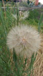 So much potential in our choices.