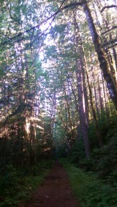 ...indescribable qualities of light...