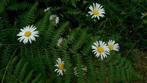 ...moments of whimsy...