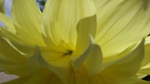 "...you don't get open, you just are open...but open like what?...