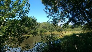 Each day is a good day to make good choices, and a new opportunity to be the woman I most want to be.