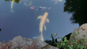 We exist in the context of our experience.