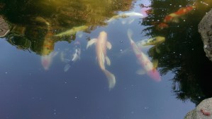 Each moment, each experience, utterly unique, and entirely our own making. Choose wisely.