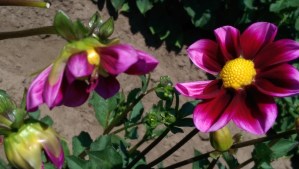 ...What matters to us, as individuals, in the moment, is as much as matter of choice as happenstance...