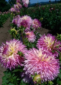 A moment of stillness can change so much.