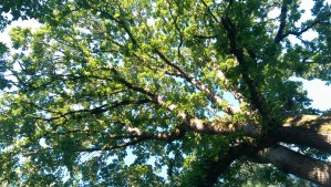 It takes a change of perspective.