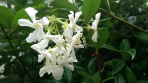 Enjoy each precious moment for what it does offer; time doesn't give second chances.