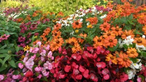 There's always time enough for love. 