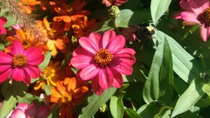 ...and hot sunny afternoons. 