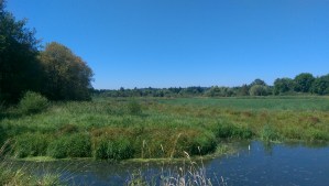 One beautiful summer day.