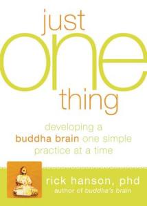 If there is 'just one thing', it is far likelier to be 'about' emotion than reason. It is our feelings that define our experience.