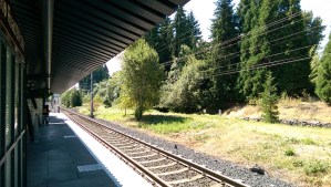 Where does my journey lead?