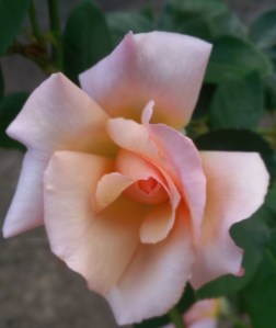 Each time for the first time, each moment, the only moment...