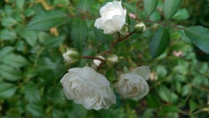 Each precious moment holds something worth cherishing now.