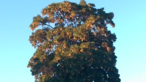 Last evening was its own experience...