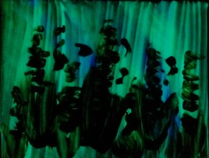 Sometimes a change in perspective matters more than we can know before we get there. "Summer Lamb's Ear" photographed in darkness. 