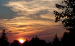 What is there to say about a sunrise? It is, in a sense, the only 'do over' we get; a new day.