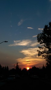 Each day dawns, entirely new, filled with potential and choices.