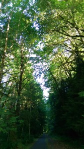 Friday, I hiked 10 continuous miles, and met a goal set for 2015.