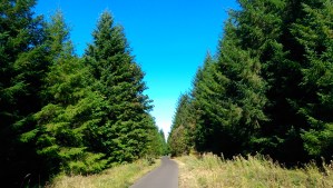 Like a paved trail on a sunny day, some of this may seem obvious; it doesn't hurt to check the map once in awhile, anyway.