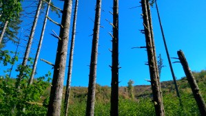 ...This is also a journey that can get very 'real'...