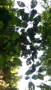 Some of this has been about a change in perspective...