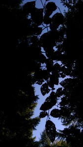 ...I mean, seriously changing perspective.