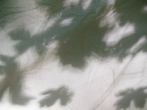 Our perspective really matters; it changes what we are able to observe.