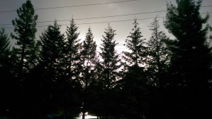 A picture of a moment; evening at the train station.