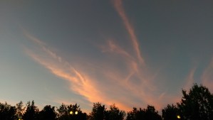 Days end. Days begin. Where will you take yourself on your journey today? What will you choose for yourself?