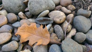 So many potential experiences to enjoy, so many choices to make; in a moment of stillness we see things in a new light.