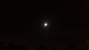 So much more than meets the eye.