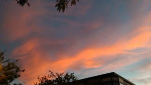 What will today offer? What will I choose? Where will the journey take me?