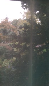 We view "reality" through the veil of our own experience, our thoughts, our very individual understanding of what we see.